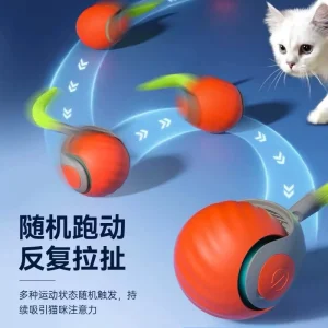 雙色任意出，新研發，新設計，智能Ai亂跑球，不保證跑的比貓快