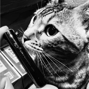 黑白飄火，貓之鬼火創意手拍照，個人創作