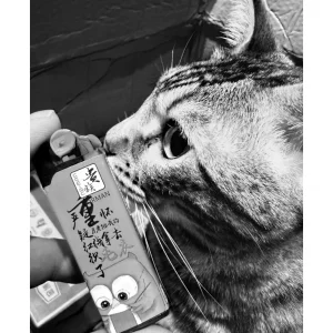 黑白飄火，貓之鬼火創意手拍照，個人創作